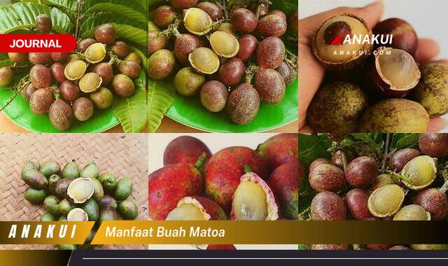 Ketahui 8 Manfaat Buah Matoa yang Bikin Kamu Penasaran