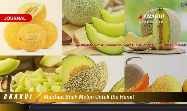 Ketahui 8 Manfaat Buah Melon untuk Ibu Hamil yang Tak Semua Orang Tau