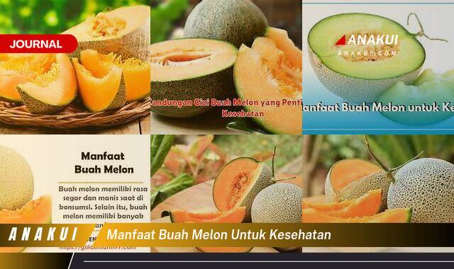 Ketahui 9 Manfaat Buah Melon untuk Kesehatan yang Tak Semua Orang Tahu