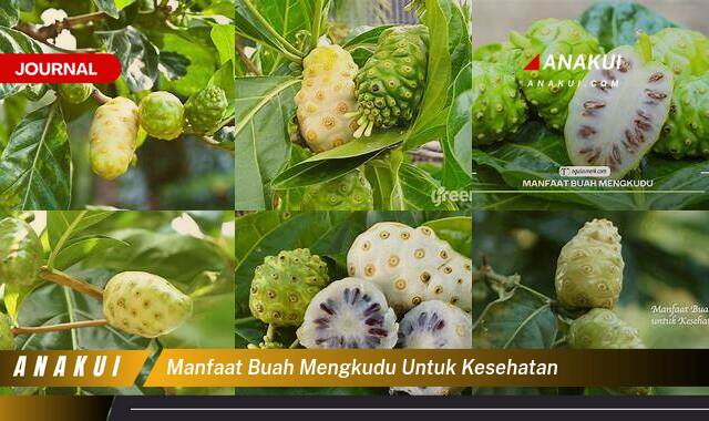 Inilah 9 Manfaat Buah Mengkudu untuk Kesehatan yang Wajib Kamu Intip