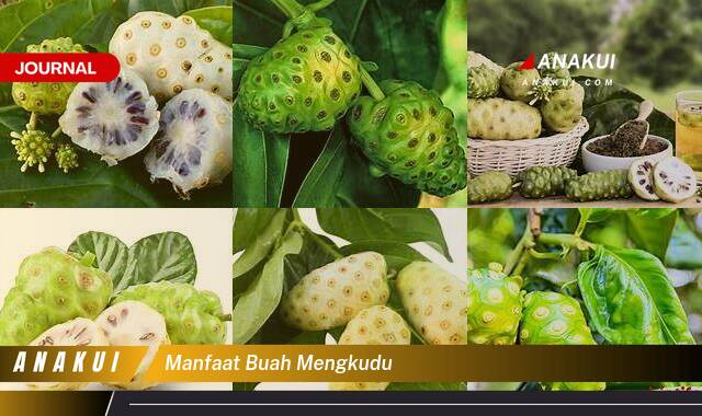 Ketahui 10 Manfaat Buah Mengkudu yang Wajib Kamu Ketahui