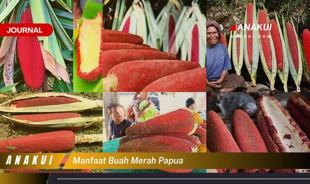 Inilah 8 Manfaat Buah Merah Papua yang Tak Banyak Orang Tahu