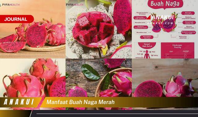 Ketahui 10 Manfaat Buah Naga Merah yang Bikin Kamu Penasaran