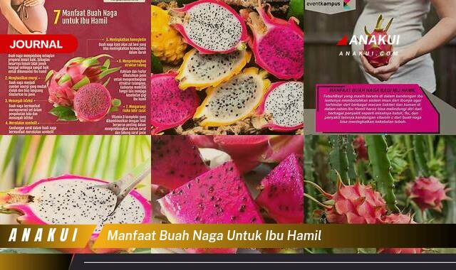 Ketahui 9 Manfaat Buah Naga untuk Ibu Hamil yang Tak Semua Orang Tau