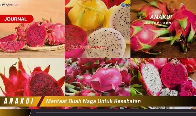 Ketahui 9 Manfaat Buah Naga untuk Kesehatan yang Bikin Kamu Penasaran