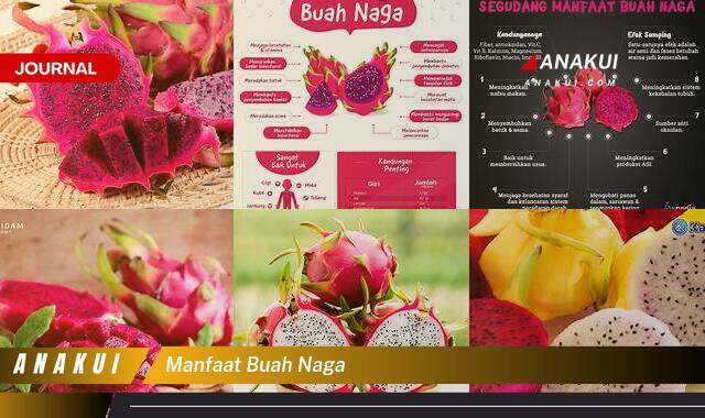 Ketahui 8 Manfaat Buah Naga yang Bikin Kamu Penasaran