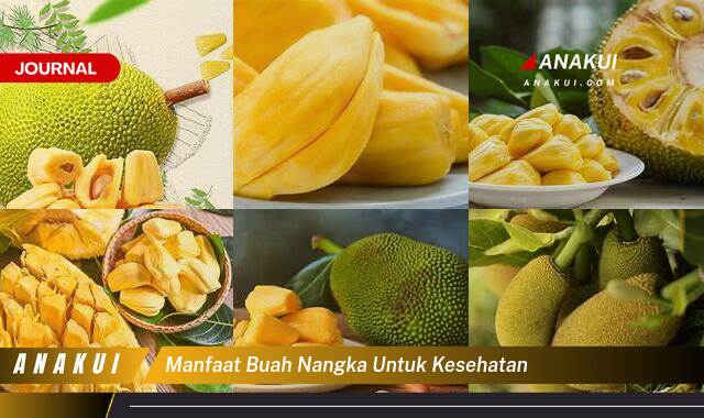 Inilah 10 Manfaat Buah Nangka untuk Kesehatan yang Wajib Kamu Intip