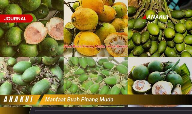 Ketahui 9 Manfaat Buah Pinang Muda yang Wajib Kamu Intip