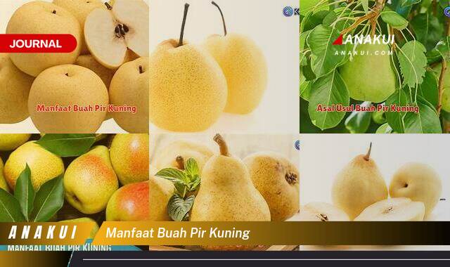 Ketahui 8 Manfaat Buah Pir Kuning yang Tak Banyak Orang Tau