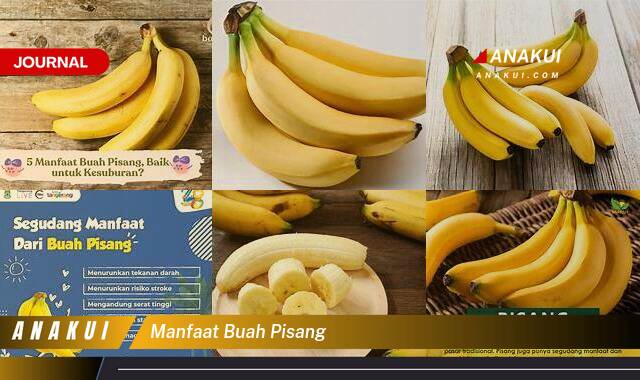 Ketahui 9 Manfaat Buah Pisang yang Tak Semua Orang Tahu