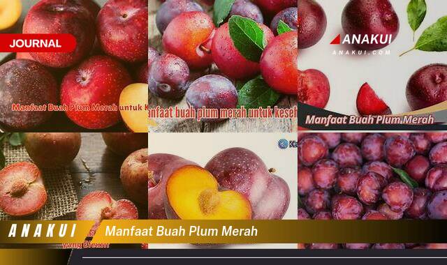 Ketahui 7 Manfaat Buah Plum Merah yang Wajib Kamu Intip