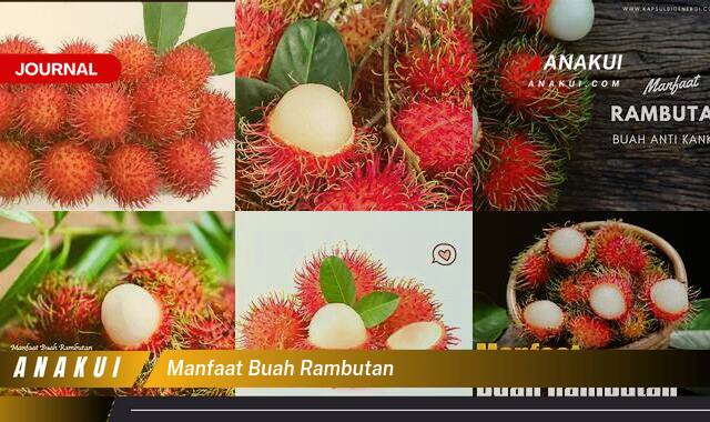 Ketahui 9 Manfaat Buah Rambutan yang Wajib Kamu Intip