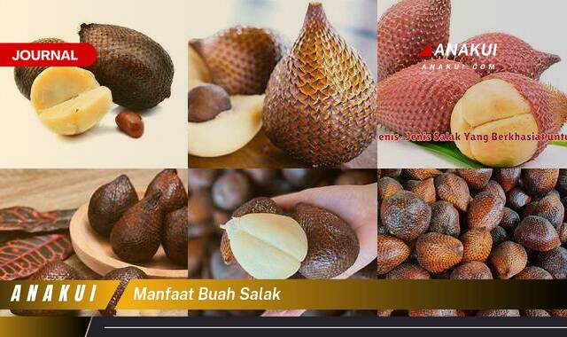 Inilah 10 Manfaat Buah Salak yang Wajib Kamu Intip