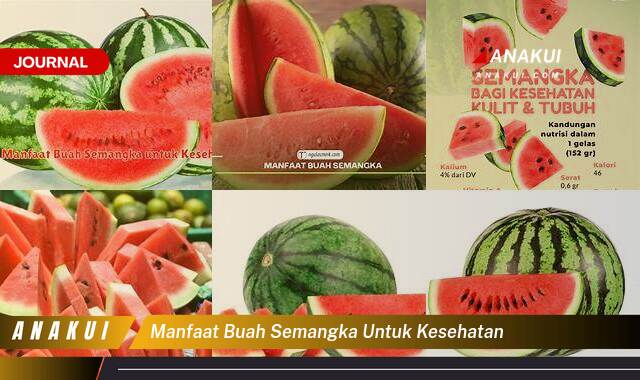 Inilah 8 Manfaat Buah Semangka untuk Kesehatan yang Wajib Kamu Ketahui