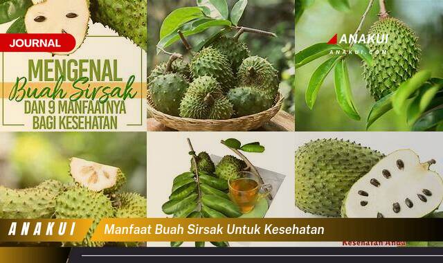 Inilah 10 Manfaat Buah Sirsak untuk Kesehatan yang Wajib Kamu Intip