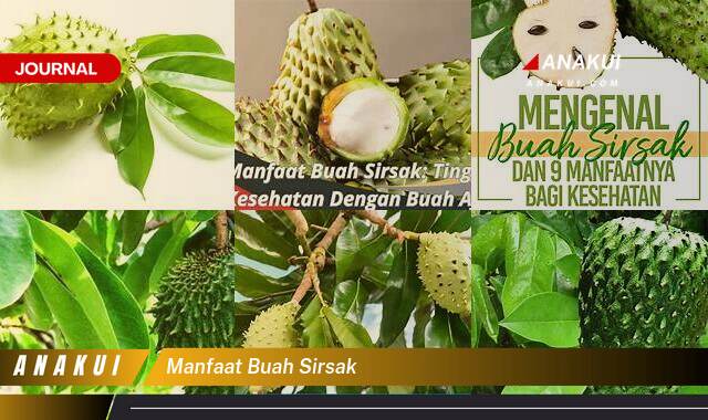 Ketahui 8 Manfaat Buah Sirsak yang Tak Disangka