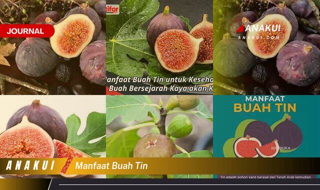 Inilah 10 Manfaat Buah Tin yang Bikin Kamu Penasaran