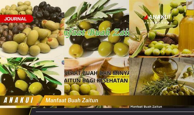 Inilah 8 Manfaat Buah Zaitun yang Wajib Kamu Ketahui