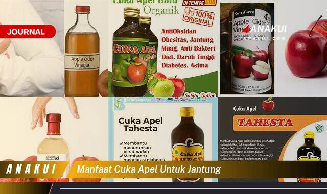 Inilah 10 Manfaat Cuka Apel untuk Jantung yang Wajib Kamu Ketahui