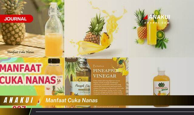 Ketahui 9 Manfaat Cuka Nanas yang Wajib Kamu Intip