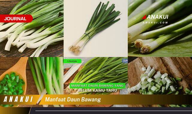 Inilah 9 Manfaat Daun Bawang yang Bikin Kamu Penasaran