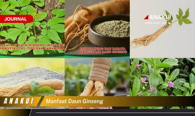 Ketahui 7 Manfaat Daun Ginseng yang Bikin Kamu Penasaran