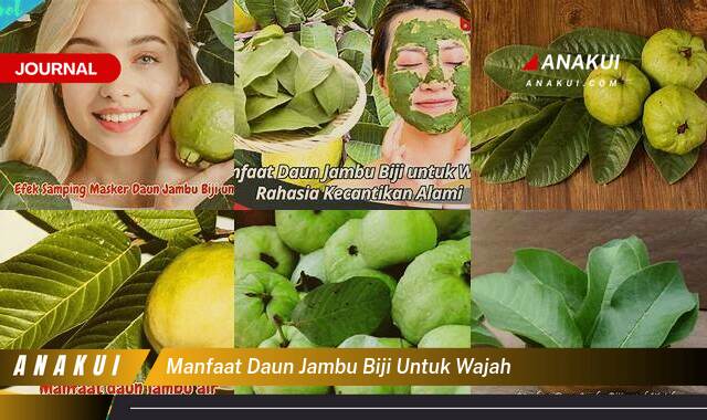 Ketahui 8 Manfaat Daun Jambu Biji untuk Wajah yang Wajib Kamu Intip