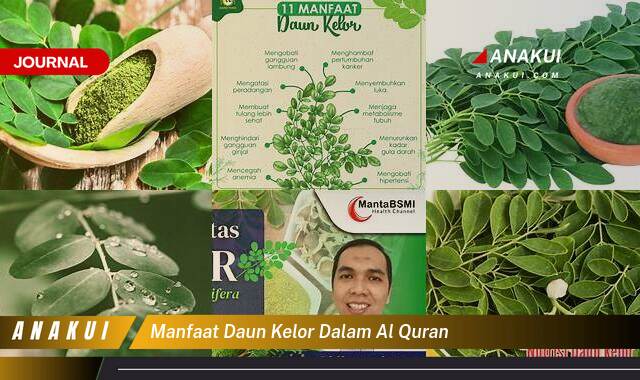 Inilah 10 Manfaat Daun Kelor dalam Al Quran yang Wajib Kamu Intip