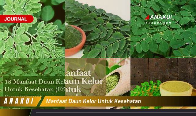 Ketahui 9 Manfaat Daun Kelor untuk Kesehatan yang Bikin Kamu Penasaran