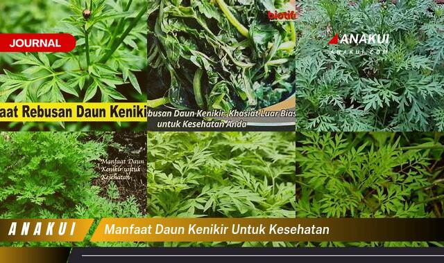 Ketahui 9 Manfaat Daun Kenikir untuk Kesehatan yang Wajib Kamu Intip