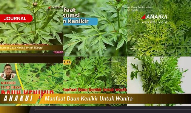 Ketahui 9 Manfaat Daun Kenikir untuk Wanita yang Bikin Kamu Penasaran