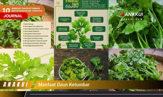 Inilah 10 Manfaat Daun Ketumbar yang Bikin Kamu Penasaran