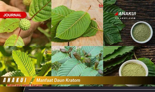 Ketahui 9 Manfaat Daun Kratom yang Wajib Kamu Intip