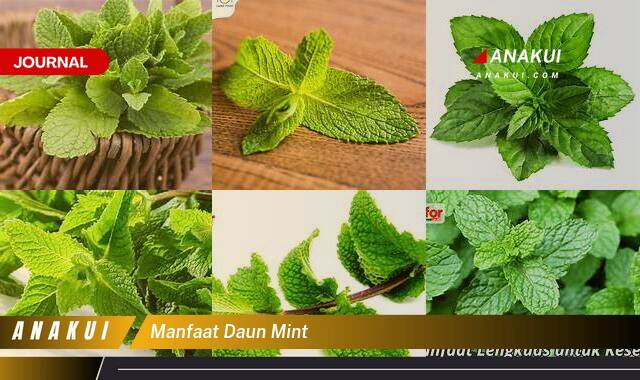 Ketahui 9 Manfaat Daun Mint yang Wajib Kamu Ketahui