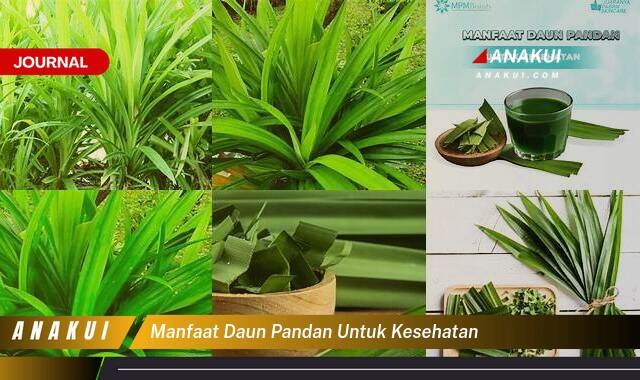 Ketahui 10 Manfaat Daun Pandan untuk Kesehatan