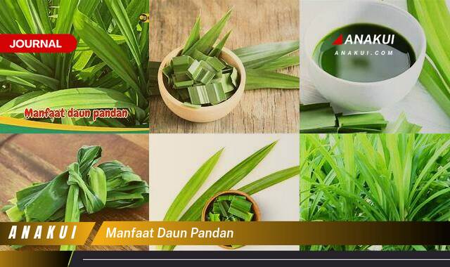 Inilah 8 Manfaat Daun Pandan yang Wajib Kamu Intip