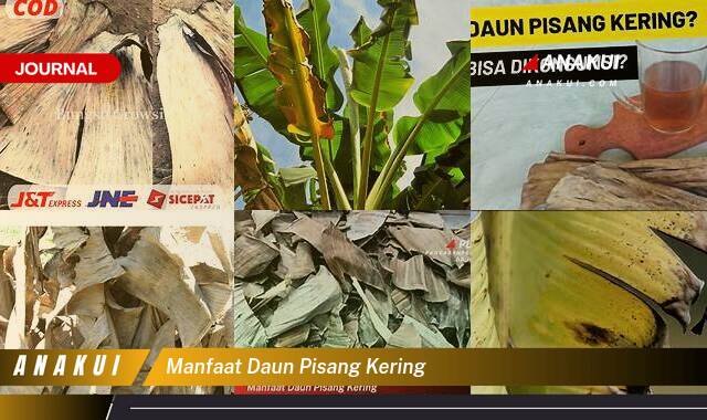 Ketahui 7 Manfaat Daun Pisang Kering yang Wajib Kamu Intip