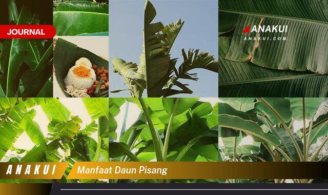 Ketahui 10 Manfaat Daun Pisang yang Wajib Kamu Intip