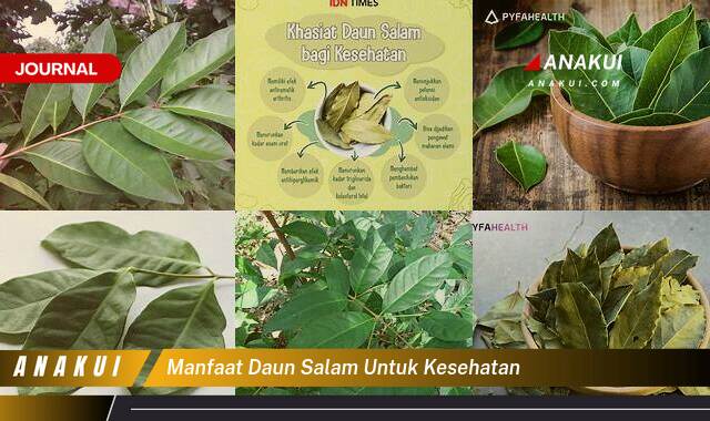 Ketahui 9 Manfaat Daun Salam untuk Kesehatan yang Tak Semua Orang Tahu