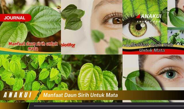 Inilah 8 Manfaat Daun Sirih untuk Mata yang Tak Semua Orang Tau