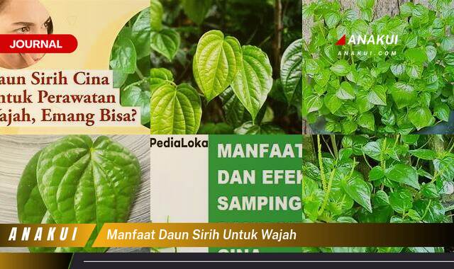 Ketahui 9 Manfaat Daun Sirih untuk Wajah yang Wajib Kamu Intip