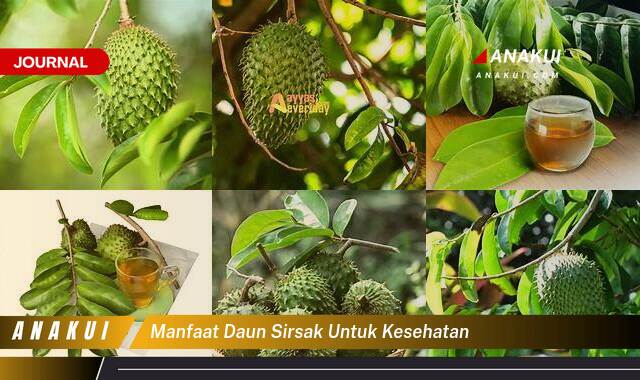 Inilah 8 Manfaat Daun Sirsak untuk Kesehatan yang Tak Semua Orang Tahu