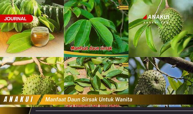 Inilah 10 Manfaat Daun Sirsak untuk Wanita yang Bikin Kamu Penasaran