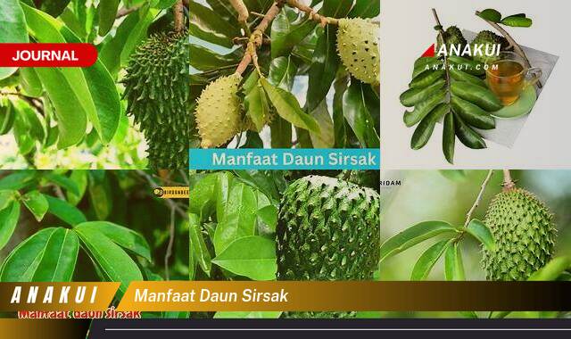 Ketahui 9 Manfaat Daun Sirsak yang Bikin Kamu Penasaran