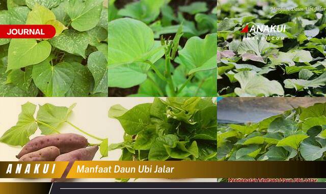 Ketahui 10 Manfaat Daun Ubi Jalar yang Wajib Kamu Ketahui