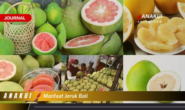 Inilah 9 Manfaat Jeruk Bali yang Wajib Kamu Intip