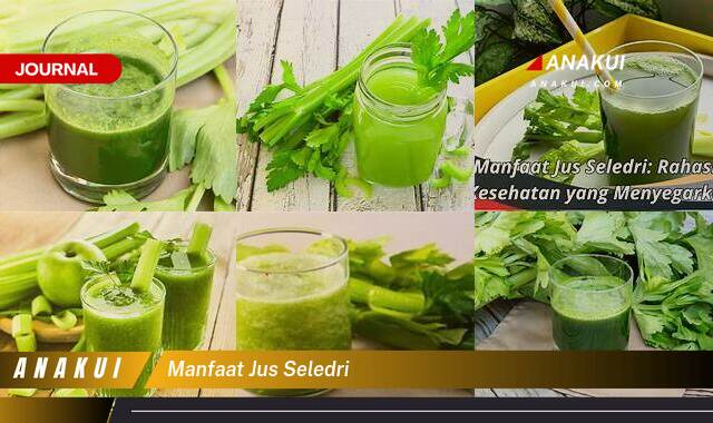 Ketahui 10 Manfaat Jus Seledri yang Wajib Kamu Intip