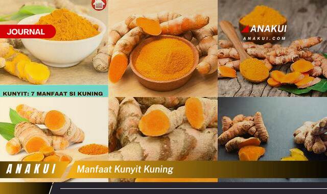 Ketahui 7 Manfaat Kunyit Kuning yang Tak Semua Orang Tahu