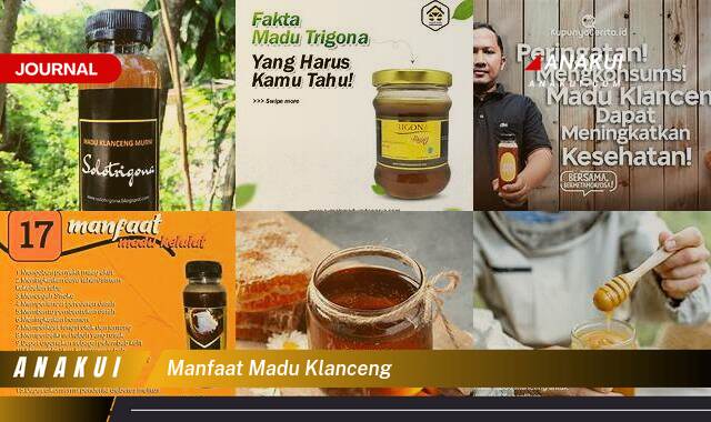 Ketahui 8 Manfaat Madu Klanceng yang Wajib Kamu Ketahui