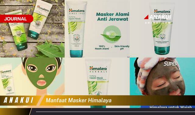 Ketahui 7 Manfaat Masker Himalaya yang Tak Semua Orang Tau